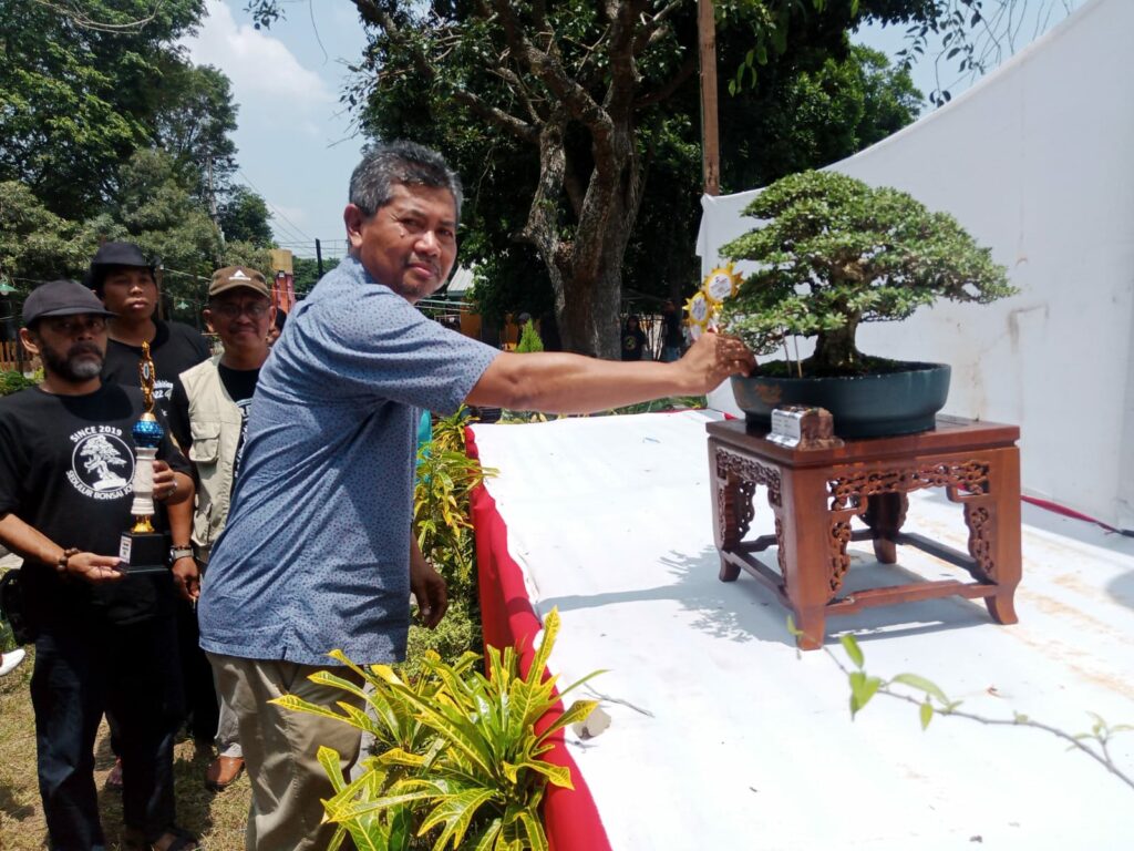 Sebanyak 423 Bonsai Lokal Tampil Di Taman Tirta Wisata Jombang.