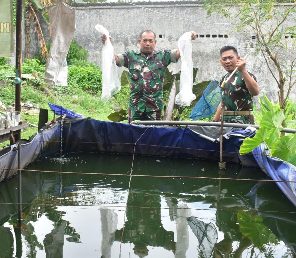 Budidaya Ikan Air Tawar, Pilot Project Kodim 0815/Mojokerto Wujudkan Ketahanan Pangan