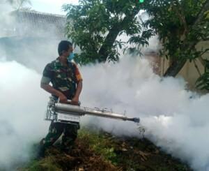 Antisipasi DBD Babinsa Pagerjo Koramil Gedeg Bareng UPT Puskesmas Lakukan Pengasapan