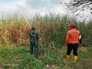 Jinakkan Kobaran Api, Babinsa Koramil 0815/10 Bangsal Bareng BPBD – Masyarakat Berjibaku Padamkan Karhutla
