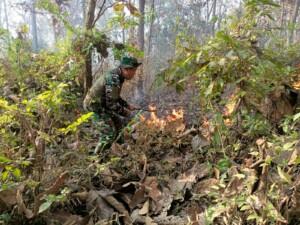 Kesigapan Koramil Jatirejo Bersama Forkopimcam – BPBD Padamkan Api Kawasan Hutan Perhutani