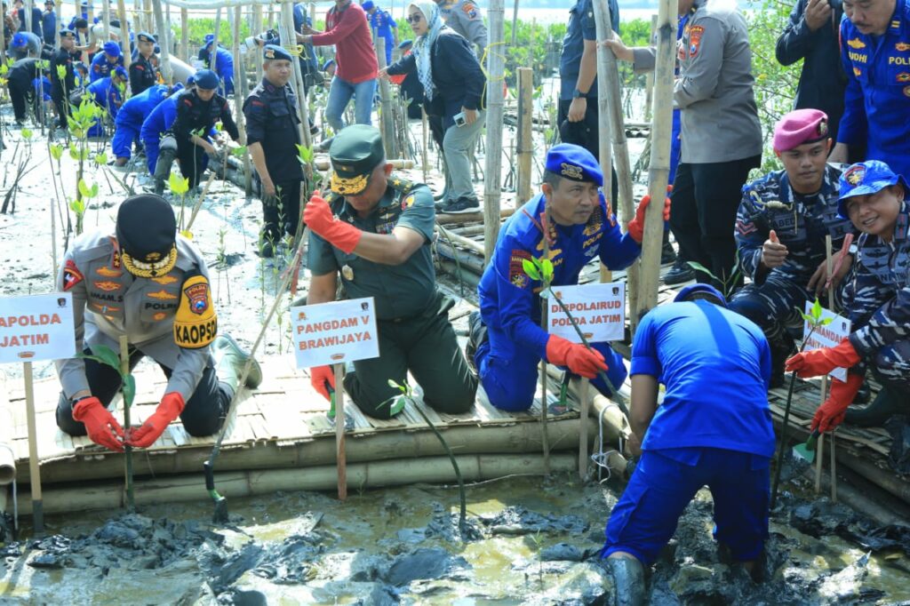 HUT Korp Brimob ke – 78 dan Polairud ke – 73, Kapolda Jatim Restorasi Hutan Mangrove Tanam 18.300 Bibit