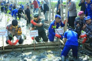 HUT Korp Brimob ke – 78 dan Polairud ke – 73, Kapolda Jatim Restorasi Hutan Mangrove Tanam 18.300 Bibit