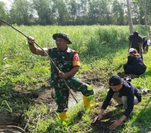 Lestarikan Alam, Koramil 0815/06 Kemlagi Bareng Masyarakat Dusun Kanigoro & Mahasiswa Unimas Tanam Pohon