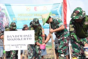 Penananaman Jagung Perdana, Upaya Peningkatan Produksi Pangan Di Wilayah Kodim 0815/Mojokerto