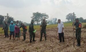 Dukung Ketahanan Pangan Koramil 0815/12 Ngoro Dampingi Poktan Tanam Jagung Serentak