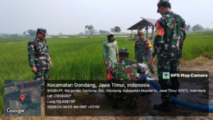 Pompa Air Brigade Alsintan Koramil 0815/18 Gondang Airi Persawahan