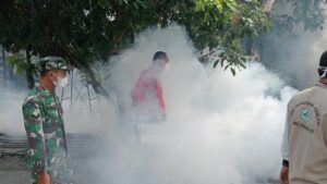 Babinsa Mojodowo Koramil Kemlagi Dampingi Pelaksanaan Fogging Cegah Demam Berdarah