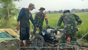 Maksimalkan Capaian Target Pengairan, Babinsa Berat Wetan Aktif Pantau Program Pompanisasi Lahan Sawah