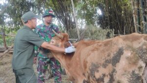 Sasaran Non Fisik TMMD Reguler Ke – 121 Kodim 0815/Mojokerto Warga Desa Bandung Terima Penyuluhan Kesehatan Ternak