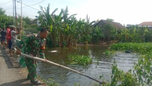 Babinsa Ngingasrembyong Koramil 0815/03 Sooko Bersama Warga Bersihkan Gulma Sungai Avor
