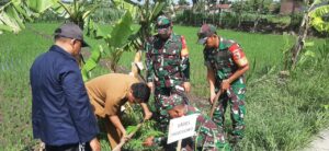 Tanam Ratusan Pohon, Komitmen Koramil 0815/06 Kemlagi Bersama Mahasiswa Unimas Jaga Kelestarian Alam