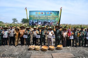 Menuju Target Swasembada Pangan, Kodim 0815/Mojokerto Bareng Kementan, Polri & Pemda Panen Raya Jagung
