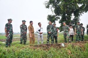Tinjau Lokasi Penanaman Padi, Dandim 0815/Mojokerto Beri Dukungan Penuh Peningkatan Produktivitas Hanpangan