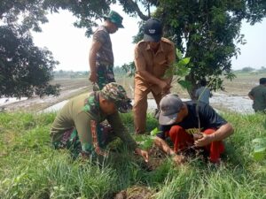 Program Penghijauan Sekaligus Antisipasi Banjir, Koramil 0815/10 Bangsal Tanam 225 Pohon di Desa Tinggarbuntut