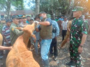Kolaborasi Pemerintah dan TNI-Polri Kendalikan Penyebaran PMK di Kabupaten Mojokerto