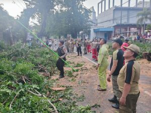 Polres Mojokerto Kota Bersama Tim Gabungan Evakuasi Pohon Tumbang di Kota Mojokerto