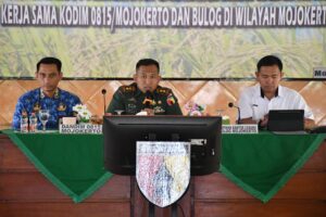 Tingkatkan Kesejahteraan Petani, Kodim 0815/Mojokerto Bersama Bulog Sosialisasikan Serapan Gabah & Beras