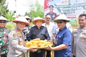 Kapolda Sulteng Pimpin Panen Raya Jagung Serentak di Donggala