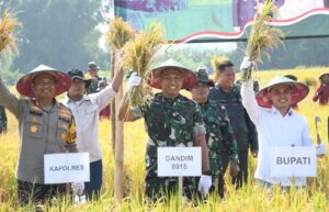 Produksi Gabah Meningkat, Dandim 0815 Bersama Forkopimda Kabupaten Mojokerto Hadiri Panen Raya Serentak di Dlanggu