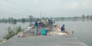 Dicurigai Proyek Siluman, Pengerjaan Rabat Beton Di Desa Kepudibener Kecamatan Turi Lamongan