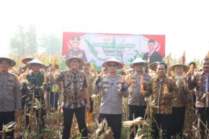 Panen Raya Jagung Tahap II, Polres Mojokerto Kota Perkuat Ketahanan Pangan Nasional
