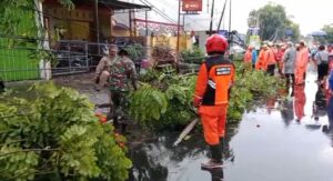 Sinergi TNI, BPBD, dan Warga Atasi Pohon Tumbang di Mojosari