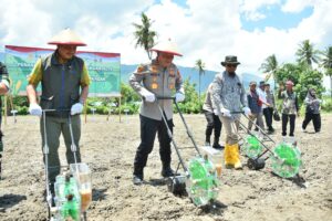 Penanaman Jagung Kuartal IV 2025 Polda Sulteng Targetkan Seluas 1.864 hektare