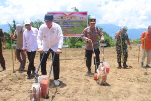 Musim Tanam Serentak Kuartal IV, Polres Sigi Tanam Jagung seluas 40 Ha
