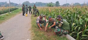 TMMD ke-126 Kodim 0815/Mojokerto Gaungkan Penghijauan Lewat Penanaman 1.000 Pohon