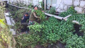 Karya Bakti Mitigasi Bencana, Koramil Rayon 3 Kodim 0815/Mojokerto Bersihkan Sungai di Payungrejo