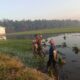 Babinsa Koramil 0815/09 Mojosari Dampingi Petani Tanam Padi, Perkuat Semangat Swasembada Pangan di Modopuro