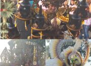 Ngingas Mojo Carnival Tahun 2026 Semakin Meriah dan Diminati Banyak Peserta