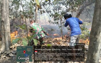 Titik Api di Hutan Jati Temuireng, Koramil 0815/08 Dawarblandong Bersama Warga Bergerak Padamkan Api