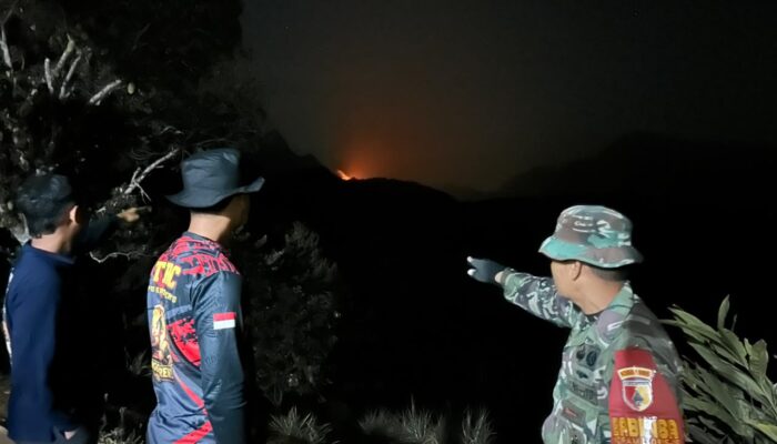 Karhutla di Kawasan Tahura Bukit Watu Jengger Mojokerto, Sekitar 15 Hektare Lahan Terbakar